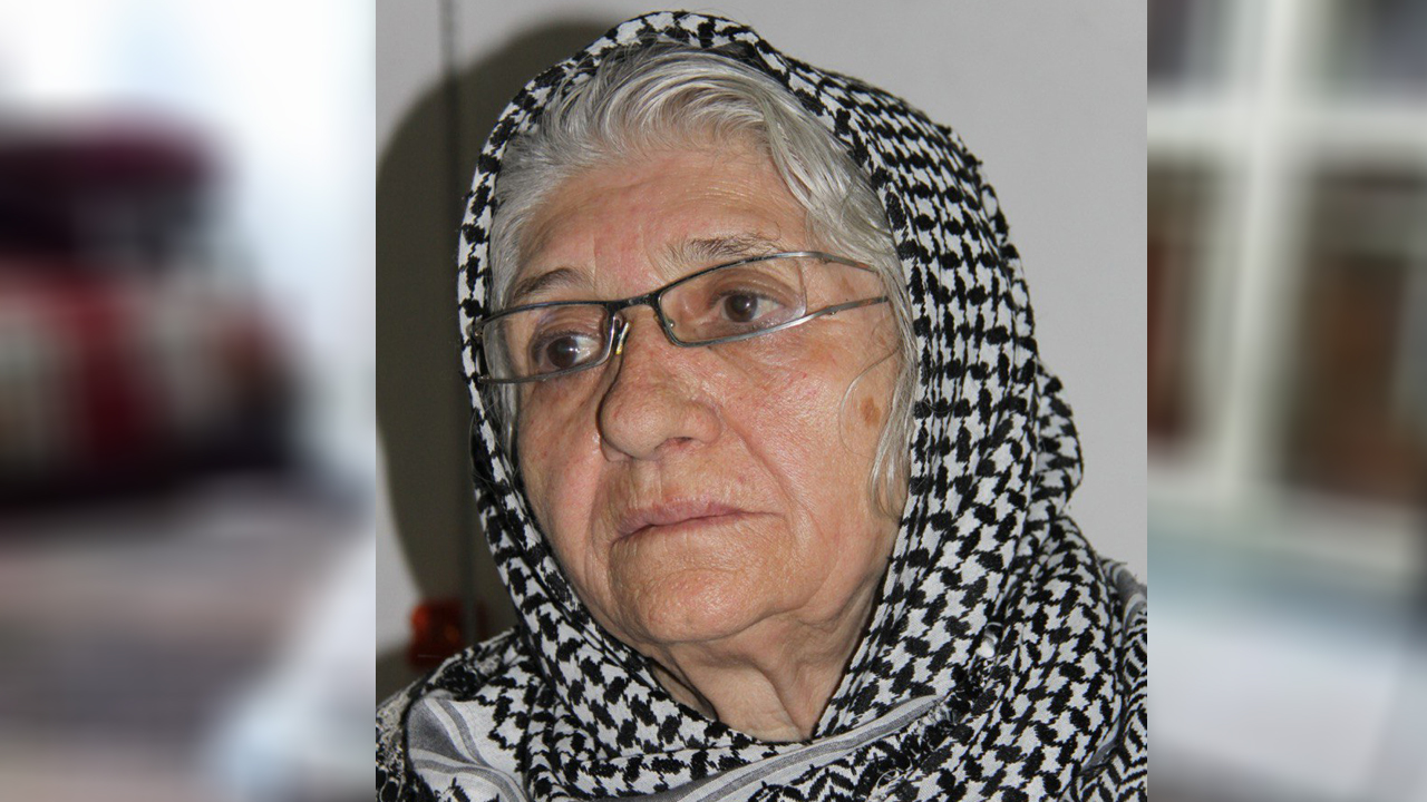 تصویر گالری ۳