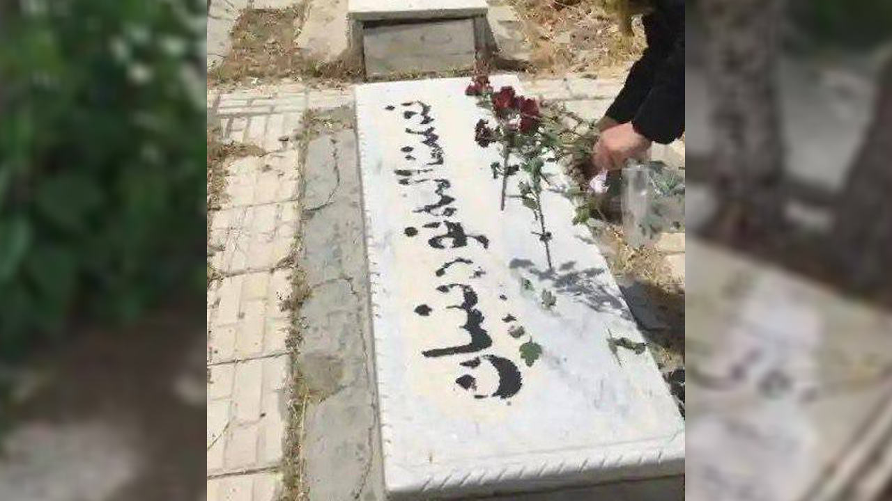 تصویر گالری ۱۲