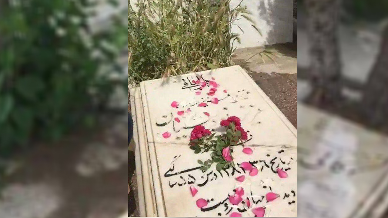 تصویر گالری ۱۴