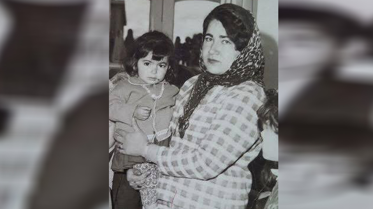 تصویر گالری ۵