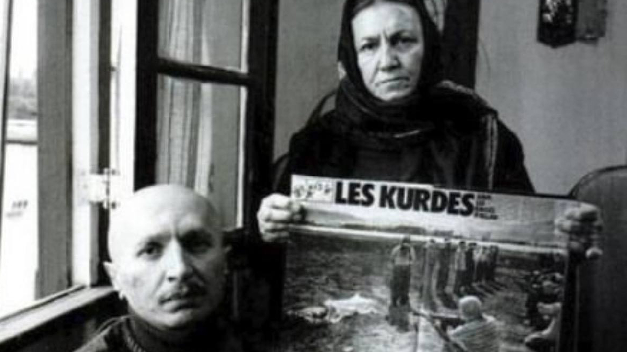 تصویر گالری ۱۴